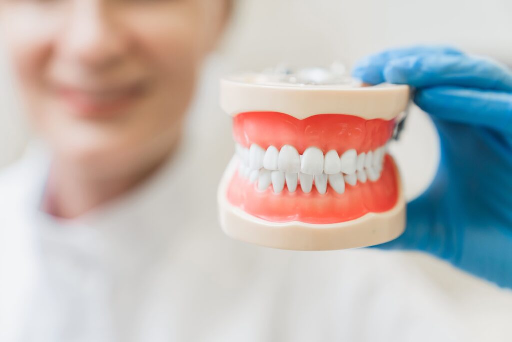 a dentist showing a model tooth as a dental prosthesis example